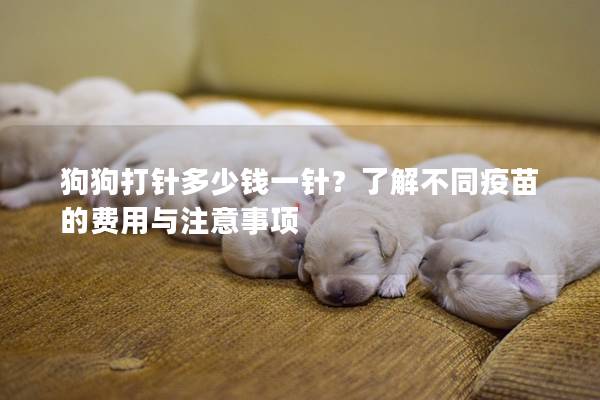 狗狗打针多少钱一针？了解不同疫苗的费用与注意事项