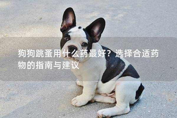 狗狗跳蚤用什么药最好？选择合适药物的指南与建议