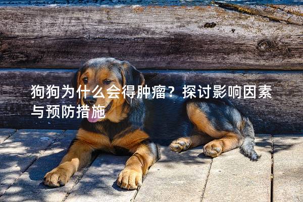 狗狗为什么会得肿瘤？探讨影响因素与预防措施