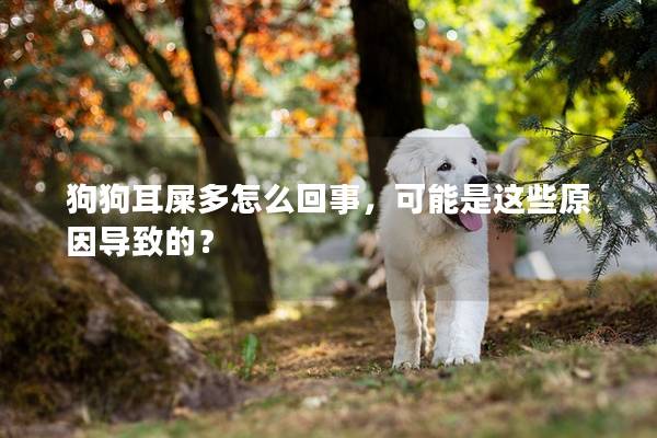 狗狗耳屎多怎么回事，可能是这些原因导致的？