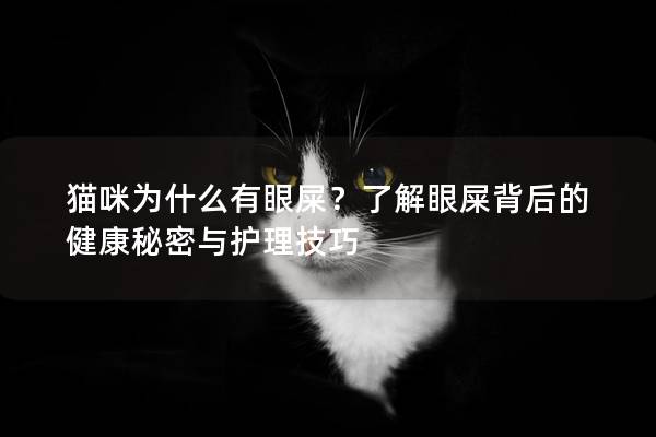 猫咪为什么有眼屎？了解眼屎背后的健康秘密与护理技巧