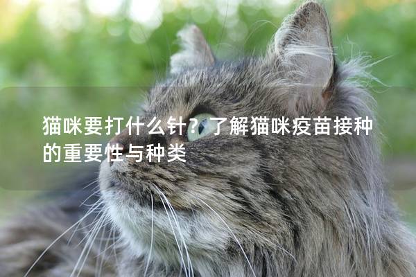 猫咪要打什么针？了解猫咪疫苗接种的重要性与种类