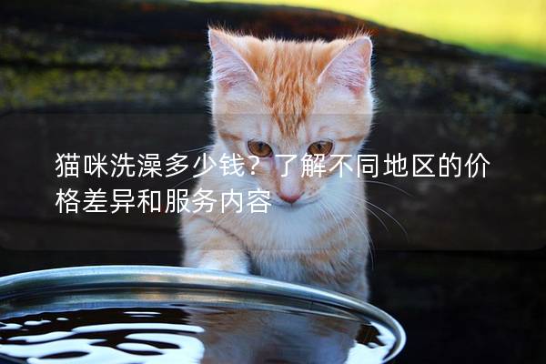 猫咪洗澡多少钱？了解不同地区的价格差异和服务内容