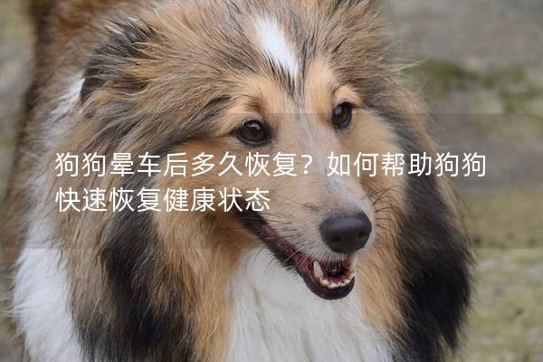 狗狗晕车后多久恢复？如何帮助狗狗快速恢复健康状态