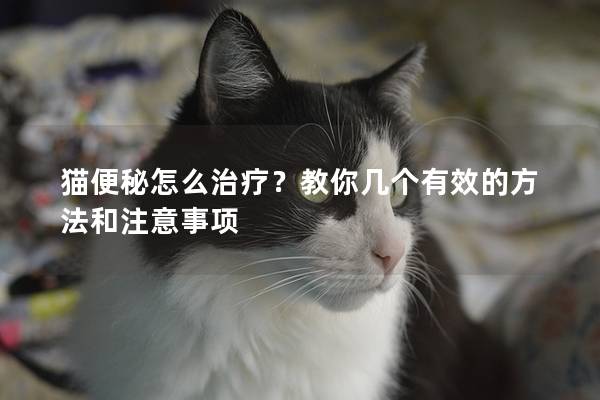 猫便秘怎么治疗？教你几个有效的方法和注意事项