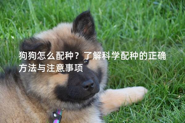 狗狗怎么配种？了解科学配种的正确方法与注意事项