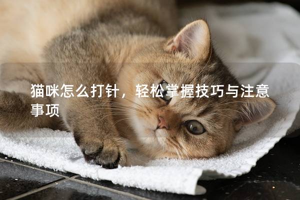 猫咪怎么打针，轻松掌握技巧与注意事项