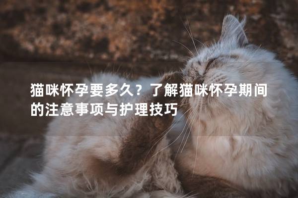 猫咪怀孕要多久？了解猫咪怀孕期间的注意事项与护理技巧