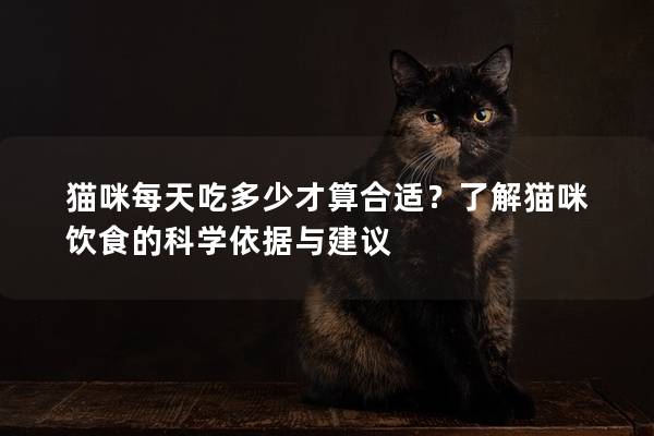 猫咪每天吃多少才算合适？了解猫咪饮食的科学依据与建议