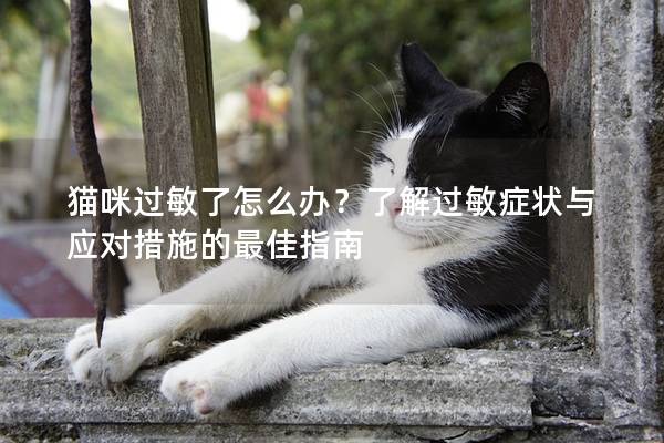 猫咪过敏了怎么办？了解过敏症状与应对措施的最佳指南