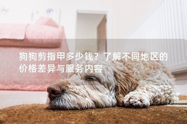 狗狗剪指甲多少钱？了解不同地区的价格差异与服务内容