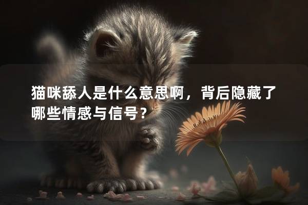 猫咪舔人是什么意思啊，背后隐藏了哪些情感与信号？