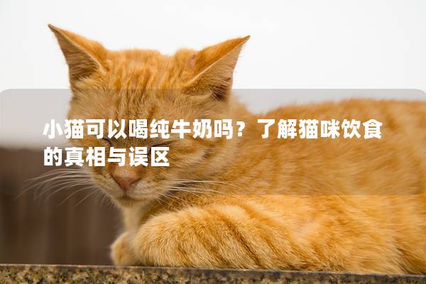 小猫可以喝纯牛奶吗？了解猫咪饮食的真相与误区