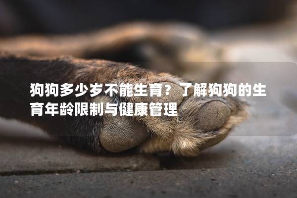 狗狗多少岁不能生育？了解狗狗的生育年龄限制与健康管理