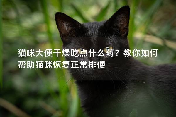 猫咪大便干燥吃点什么药？教你如何帮助猫咪恢复正常排便