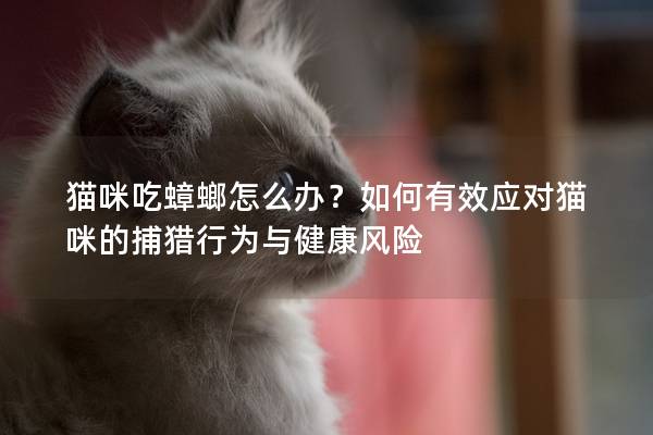 猫咪吃蟑螂怎么办？如何有效应对猫咪的捕猎行为与健康风险