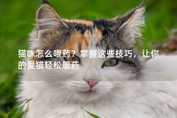 猫咪怎么喂药？掌握这些技巧，让你的爱猫轻松服药