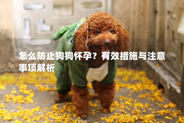 怎么防止狗狗怀孕？有效措施与注意事项解析