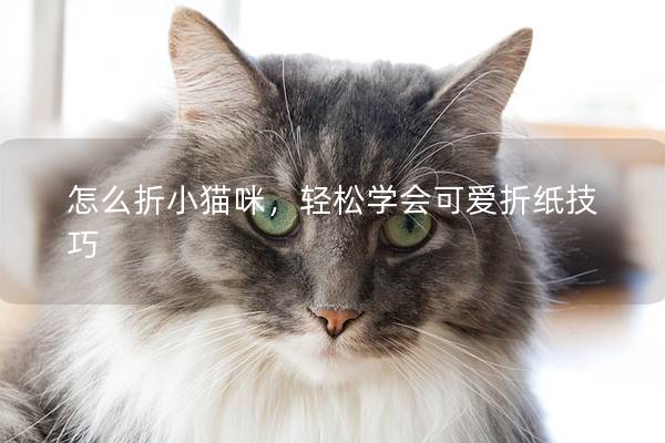 怎么折小猫咪，轻松学会可爱折纸技巧