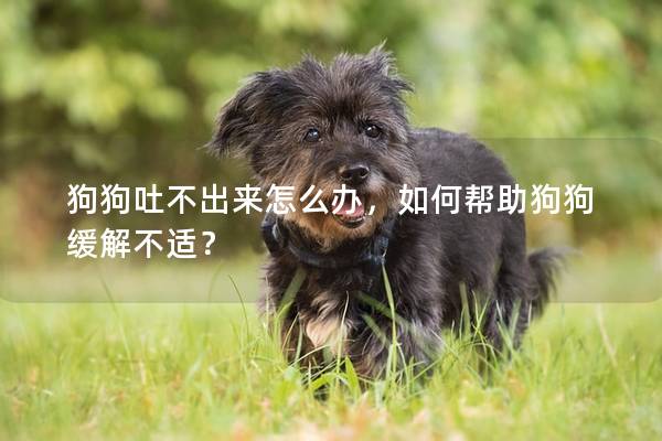 狗狗吐不出来怎么办，如何帮助狗狗缓解不适？