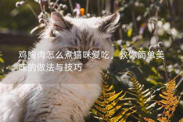 鸡胸肉怎么煮猫咪爱吃，教你简单美味的做法与技巧