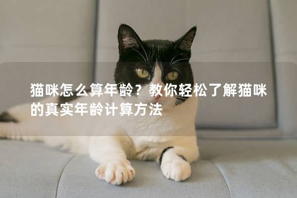 猫咪怎么算年龄？教你轻松了解猫咪的真实年龄计算方法