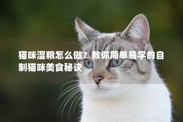 猫咪湿粮怎么做？教你简单易学的自制猫咪美食秘诀