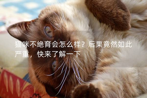 猫咪不绝育会怎么样？后果竟然如此严重，快来了解一下