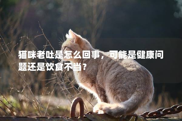 猫咪老吐是怎么回事，可能是健康问题还是饮食不当？