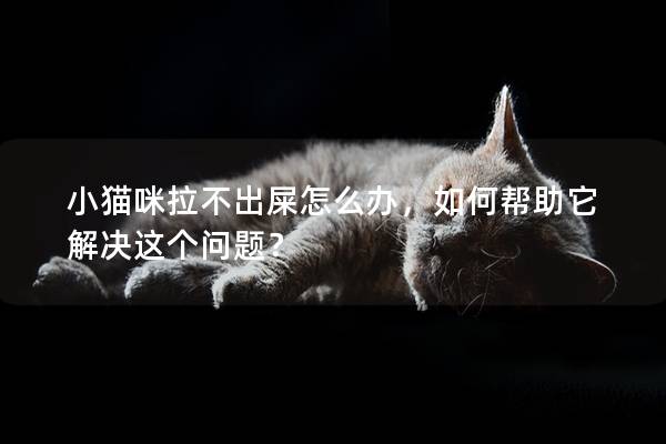 小猫咪拉不出屎怎么办，如何帮助它解决这个问题？