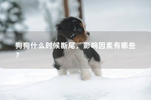 狗狗什么时候断尾，影响因素有哪些？