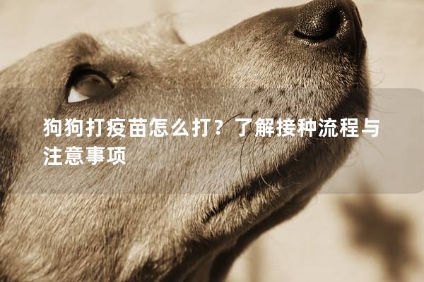 狗狗打疫苗怎么打？了解接种流程与注意事项