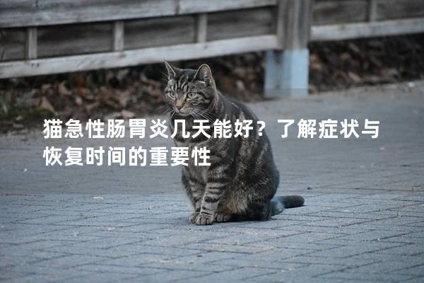 猫急性肠胃炎几天能好？了解症状与恢复时间的重要性