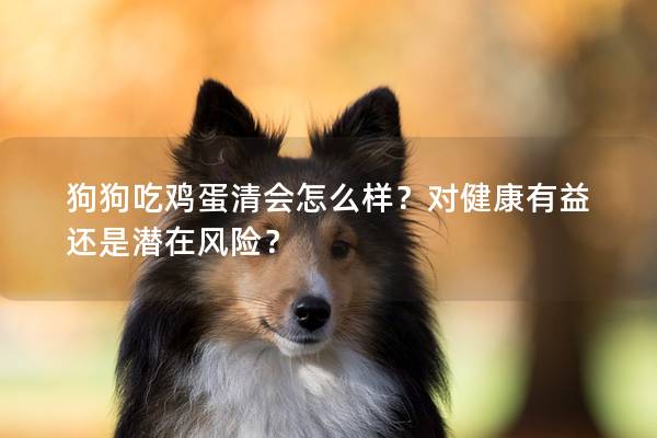 狗狗吃鸡蛋清会怎么样？对健康有益还是潜在风险？