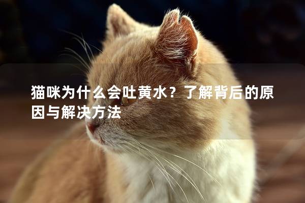 猫咪为什么会吐黄水？了解背后的原因与解决方法