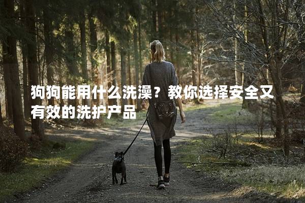 狗狗能用什么洗澡？教你选择安全又有效的洗护产品