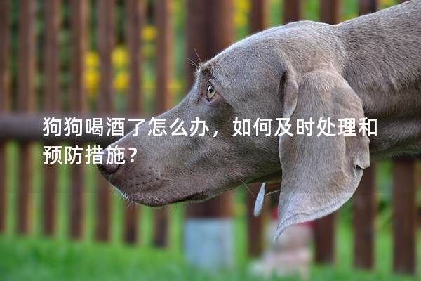 狗狗喝酒了怎么办，如何及时处理和预防措施？