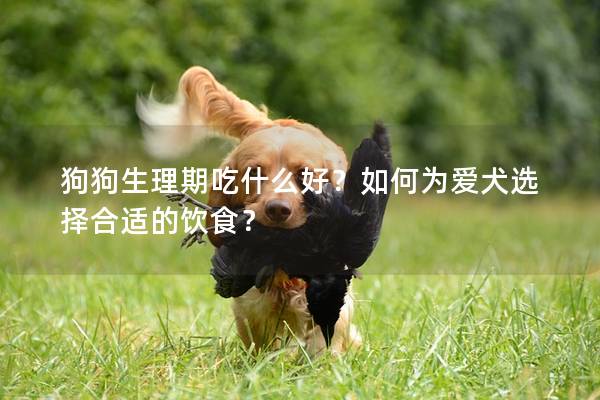 狗狗生理期吃什么好？如何为爱犬选择合适的饮食？