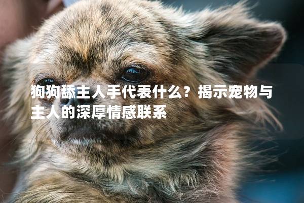 狗狗舔主人手代表什么？揭示宠物与主人的深厚情感联系