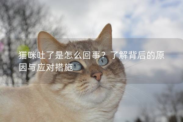 猫咪吐了是怎么回事？了解背后的原因与应对措施