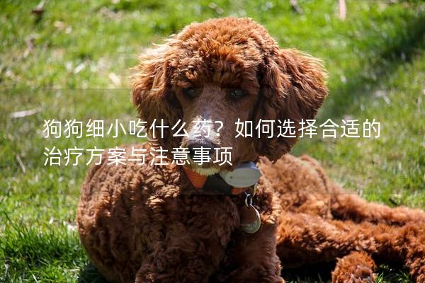 狗狗细小吃什么药？如何选择合适的治疗方案与注意事项