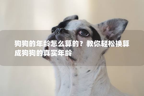 狗狗的年龄怎么算的？教你轻松换算成狗狗的真实年龄