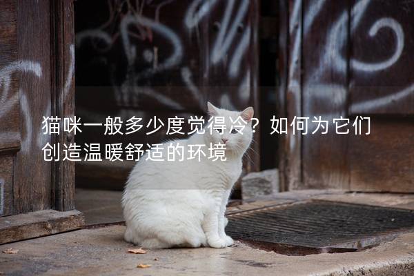 猫咪一般多少度觉得冷？如何为它们创造温暖舒适的环境