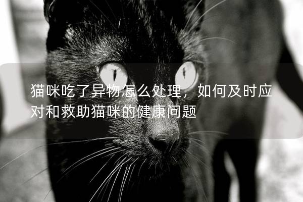 猫咪吃了异物怎么处理，如何及时应对和救助猫咪的健康问题