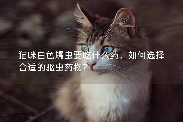 猫咪白色蠕虫要吃什么药，如何选择合适的驱虫药物？