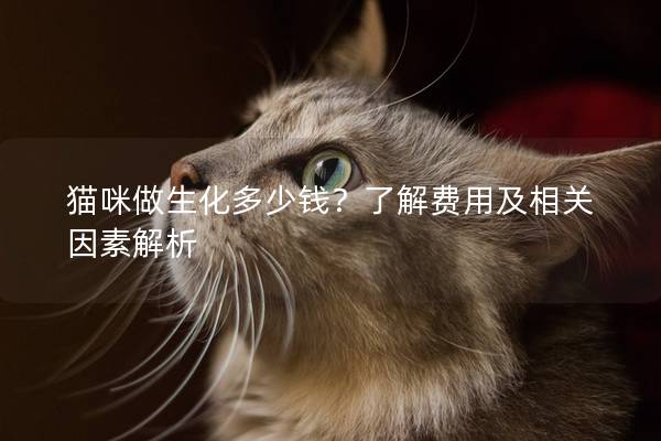 猫咪做生化多少钱？了解费用及相关因素解析