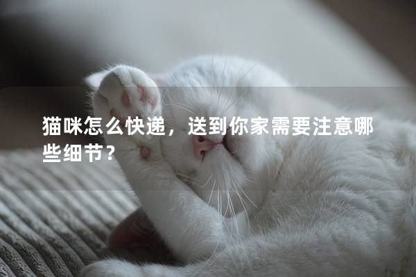 猫咪怎么快递，送到你家需要注意哪些细节？