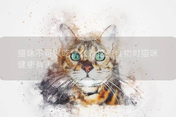 猫咪不可以吃什么？这些食物对猫咪健康有害