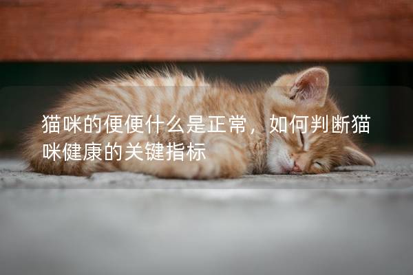 猫咪的便便什么是正常，如何判断猫咪健康的关键指标