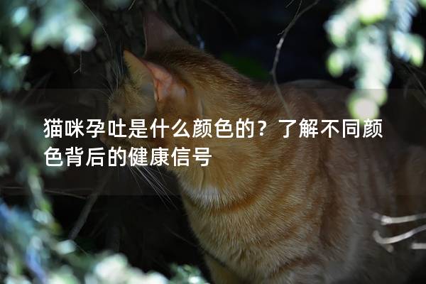 猫咪孕吐是什么颜色的？了解不同颜色背后的健康信号